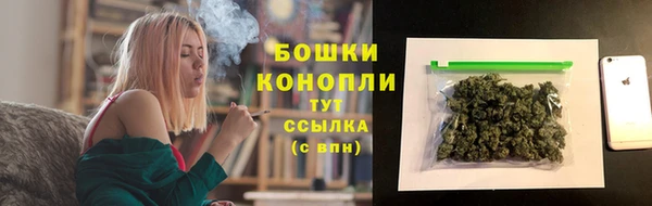 PSILOCYBIN Алзамай