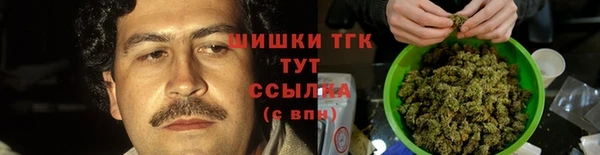 PSILOCYBIN Алзамай
