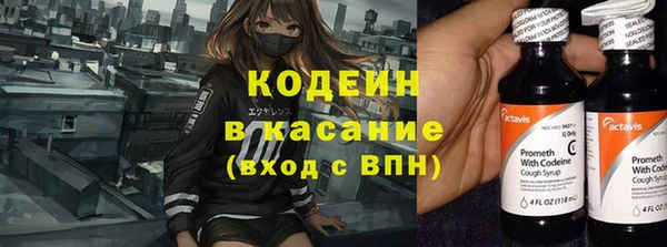 PSILOCYBIN Алзамай